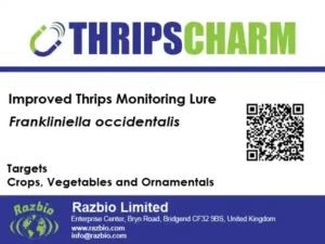 ThripsCharm for enhanced Western Flower Thrips Monitoring